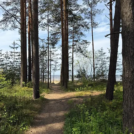 The Baltic Sea Hideaway